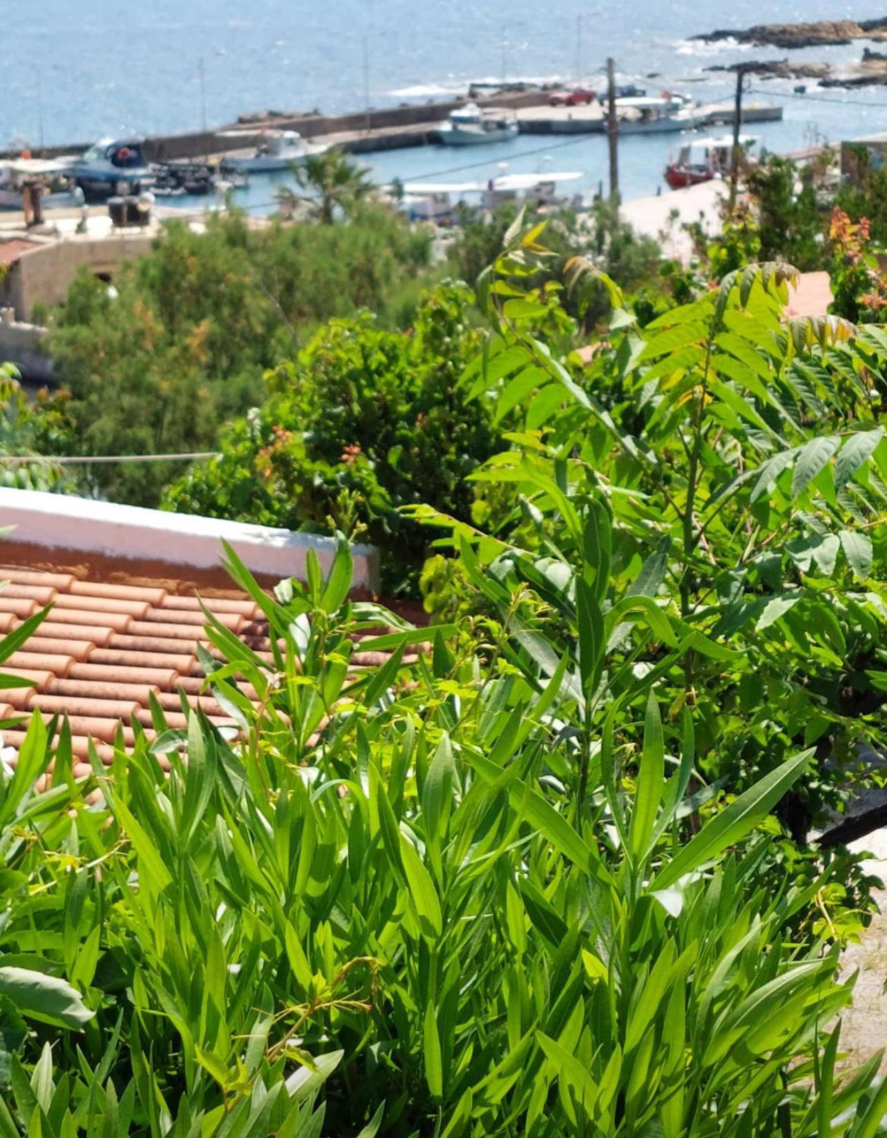 Villas Vista Del Mar Kíssamos Eksteriør bilde